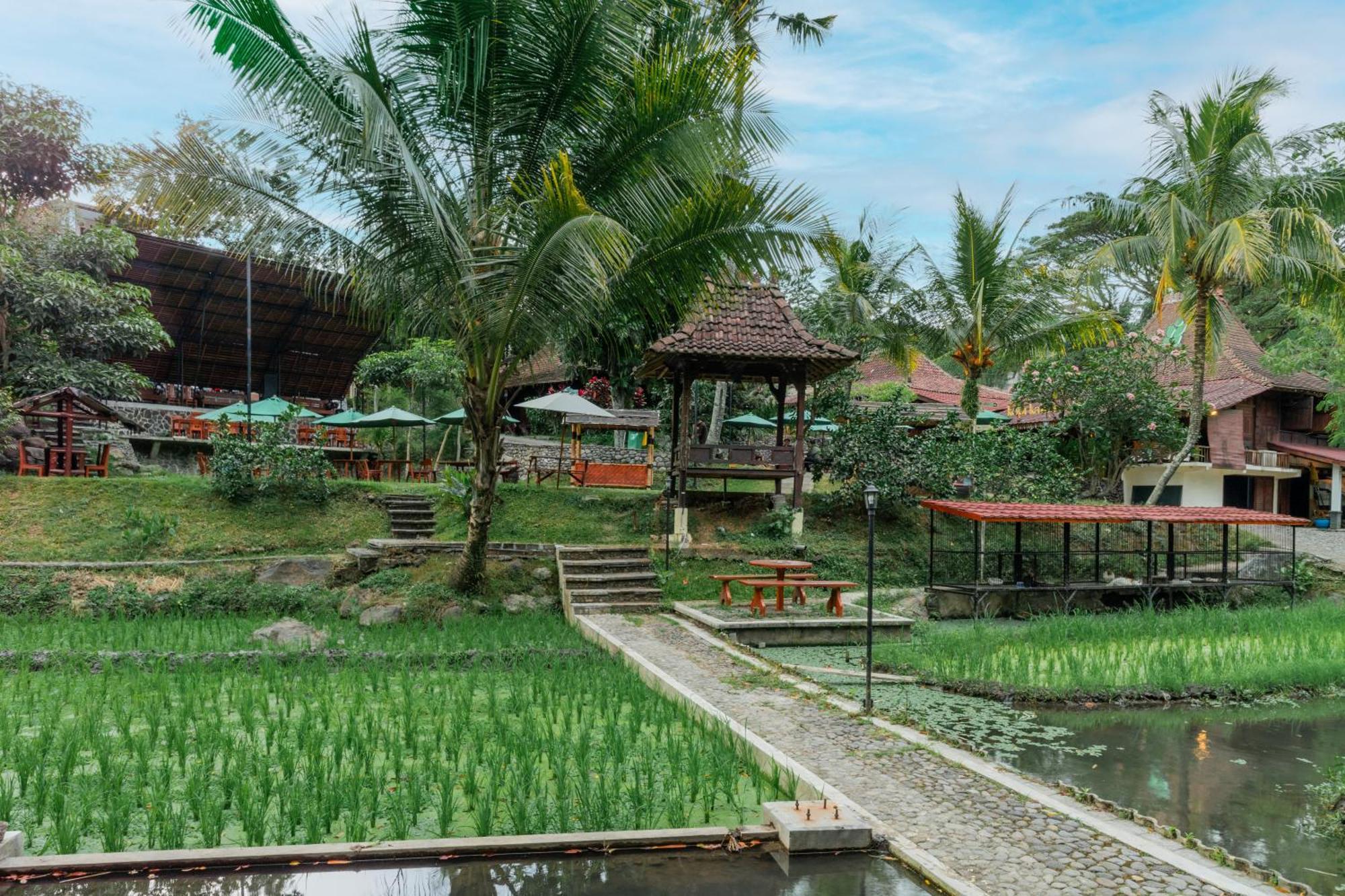 Padi Heritage Hotel Malang Kültér fotó